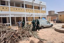 صورة المصلحة الفنية ببلدية عرفات تزيل الأشجار من مدرسة أسامة