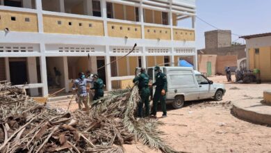 صورة المصلحة الفنية ببلدية عرفات تزيل الأشجار من مدرسة أسامة